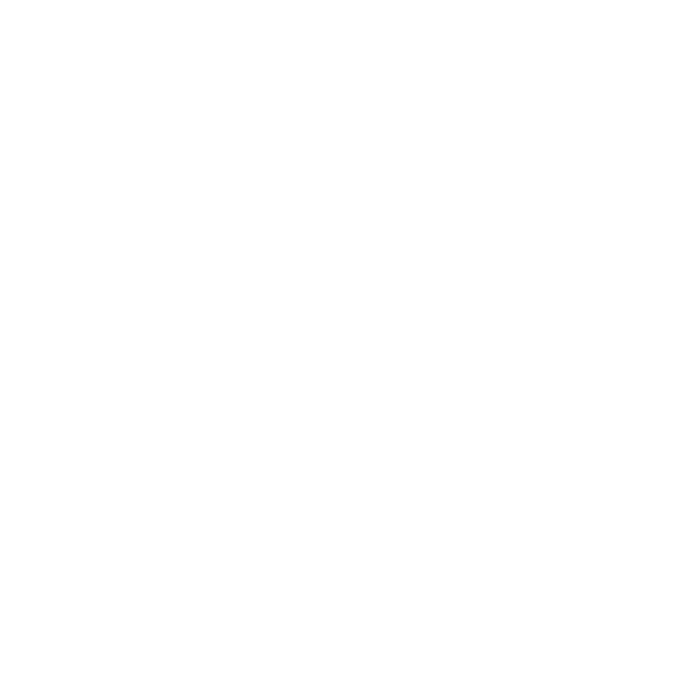 SE Logo SE Logo